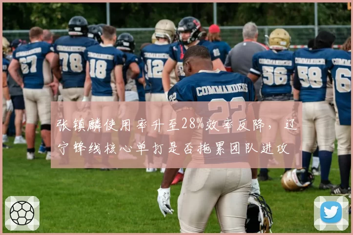 张镇麟使用率升至28%效率反降，辽宁锋线核心单打是否拖累团队进攻？